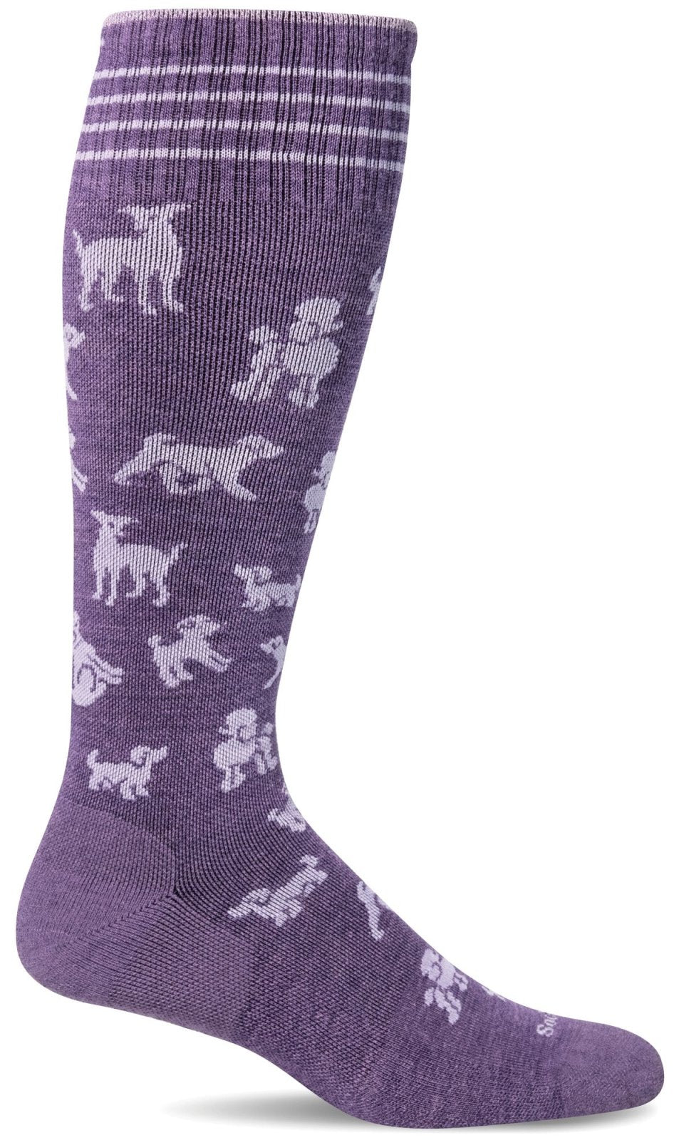 Women's Best in Show  Moderate Graduated Compression Socks
